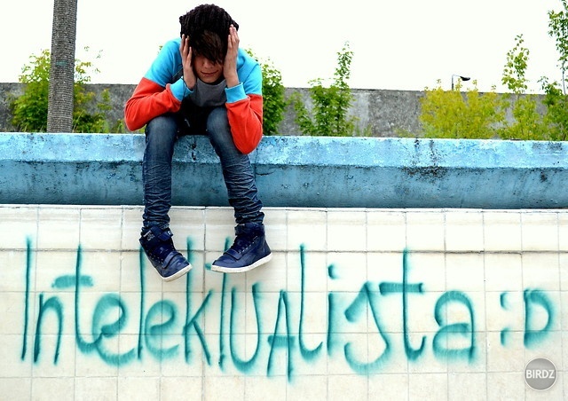 Obrázok