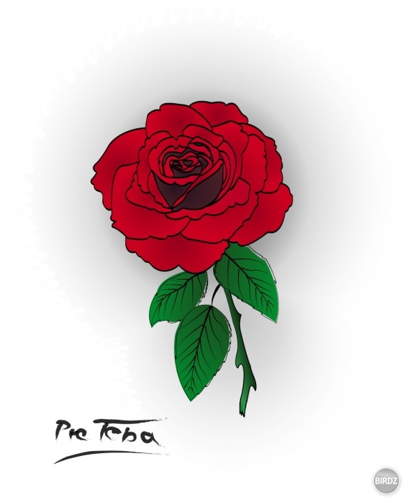 Rose