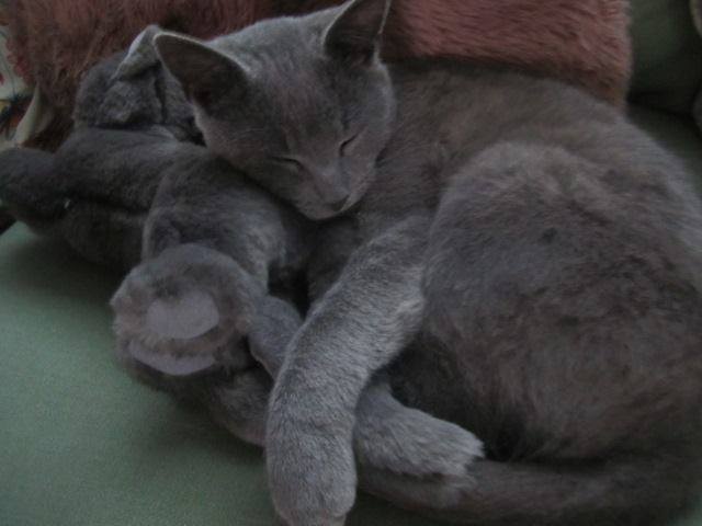 takto budem dnes spat jak to maca ^__^