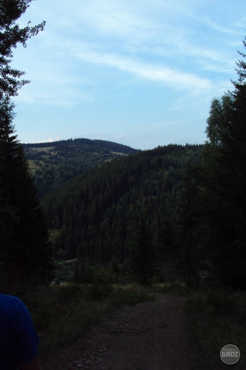Obrázok