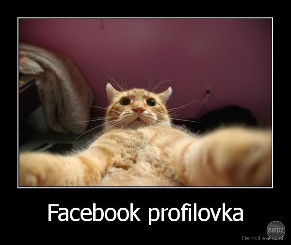 cvak