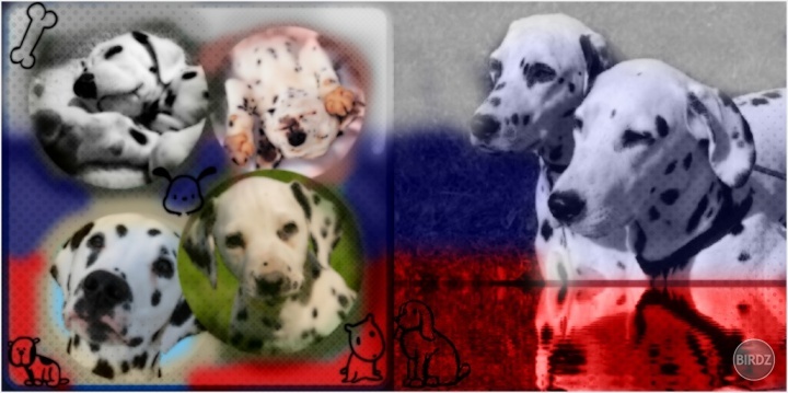 Obrázok