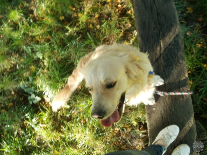 Voroo :)