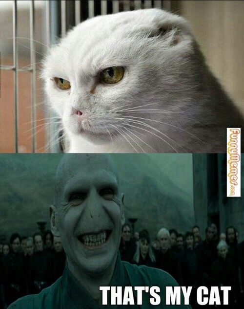 :D :D :D 