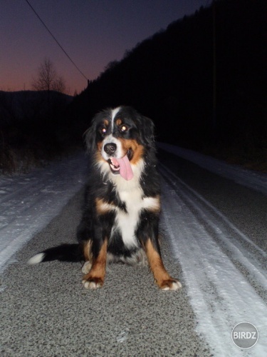moj hafan :)