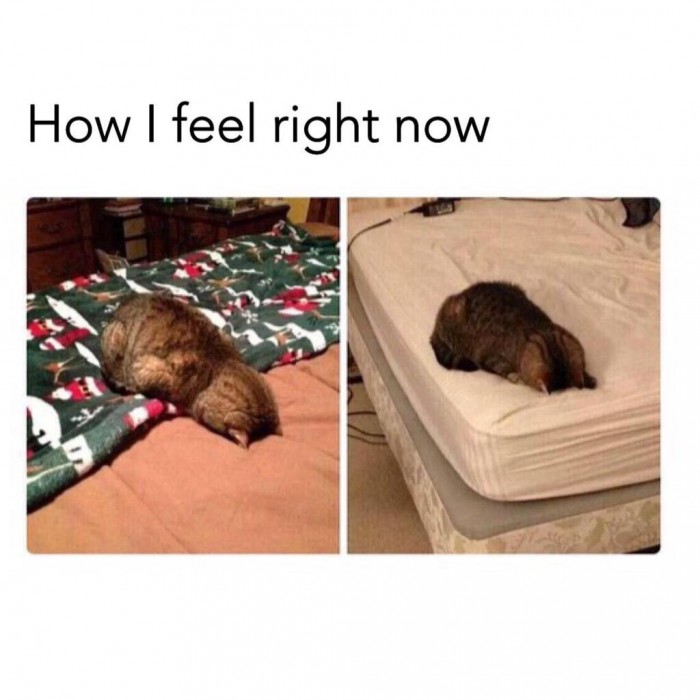 .