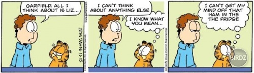 garfield...najlepsi komix..