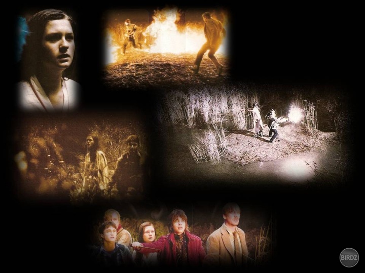 Koláž (Harry Potter 6:Polovičný Princ)
Keď smrťožrúti napadli Brloh. 