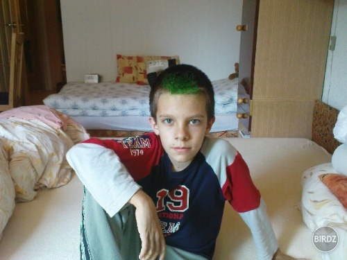 Obrázok