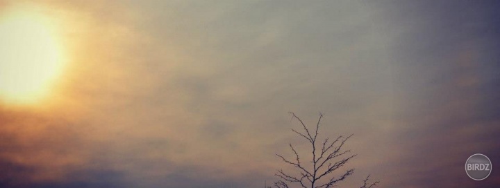 here comes the sun