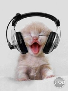 listen to music