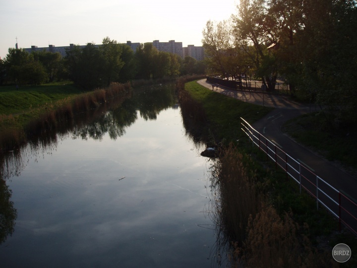 Obrázok