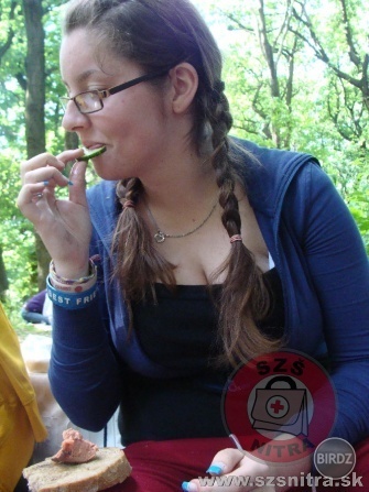 Obrázok