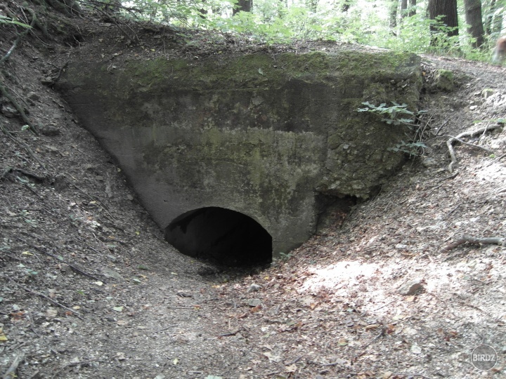 Vchod