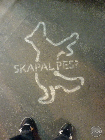Obrázok