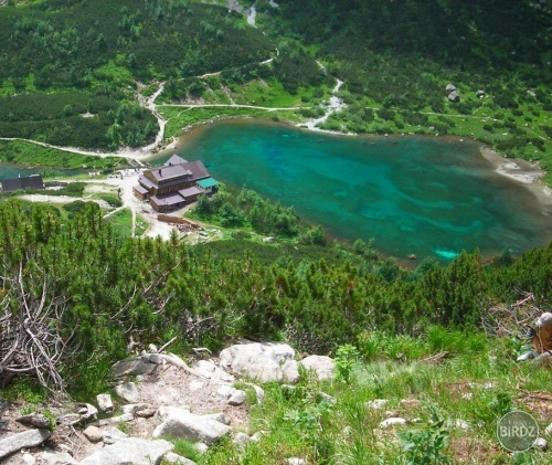 Obrázok