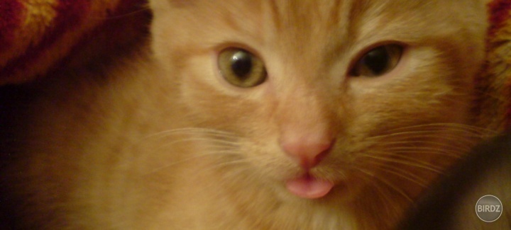 :P