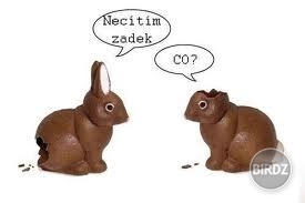 Obrázok