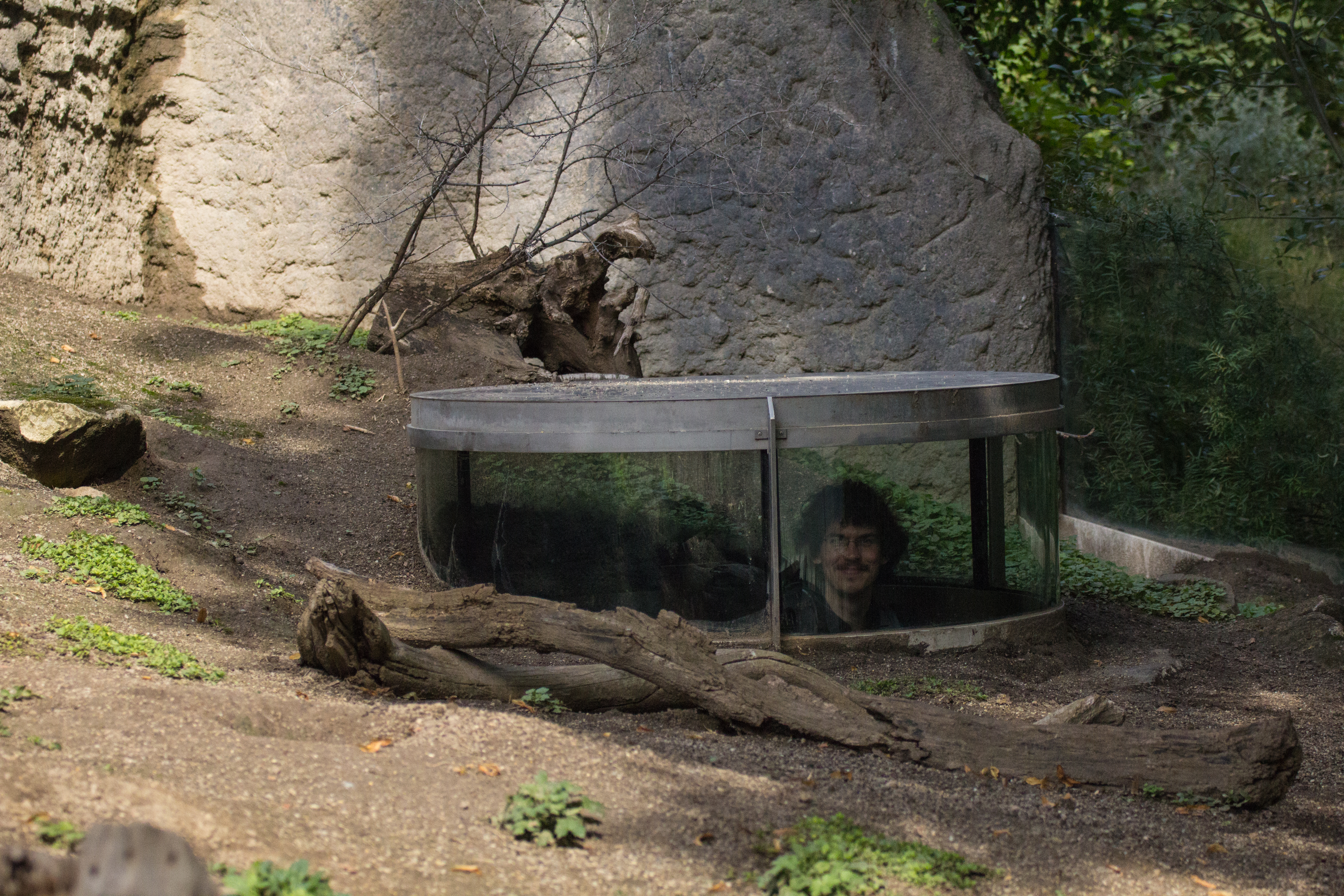 Zo zoo Schonbrunn - zvieratko bez popisnej tabuľky :D