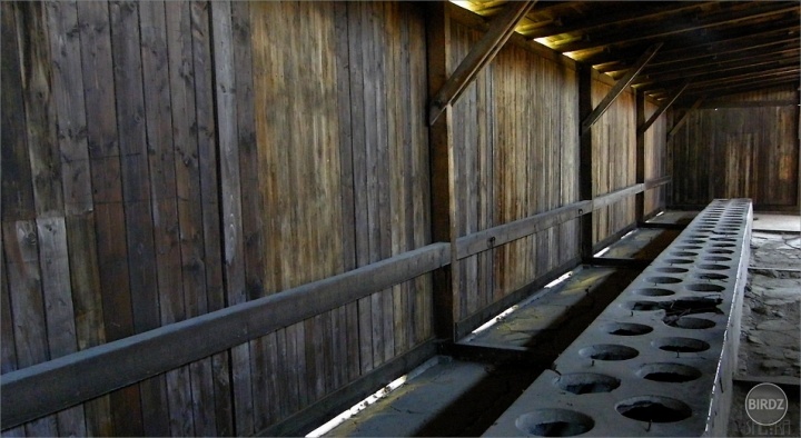 toalety (Auschwitz - Birkenau)