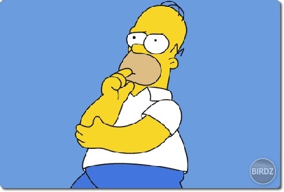 Homer sa pokúša premýšľať:D