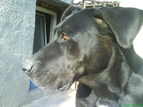 Obrázok