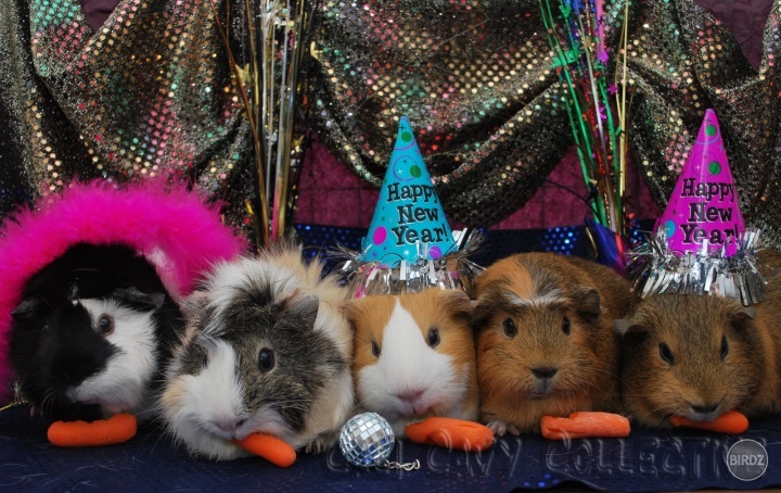 happy new year :)