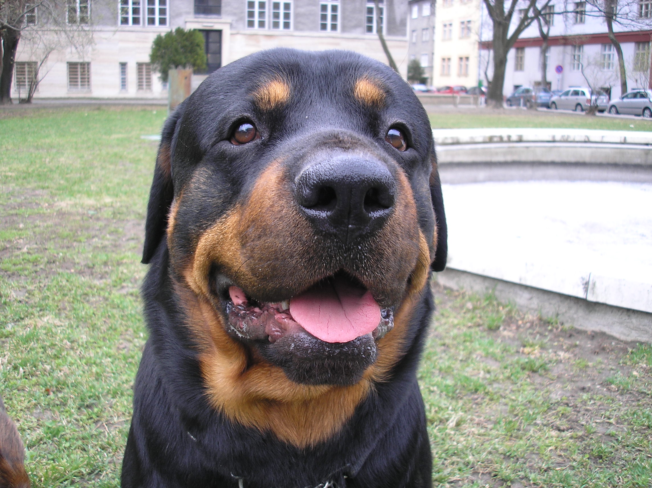 MAXOOO,,,,,,, kraasny havo! ze??