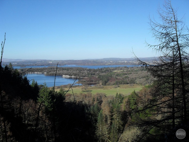 v Killarney National Park
