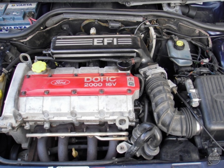 RS 2000 

2.0 liter 16v DoHC EFI 110 kw