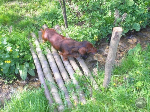 Obrázok