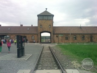 Auschwitz - Birkenau 