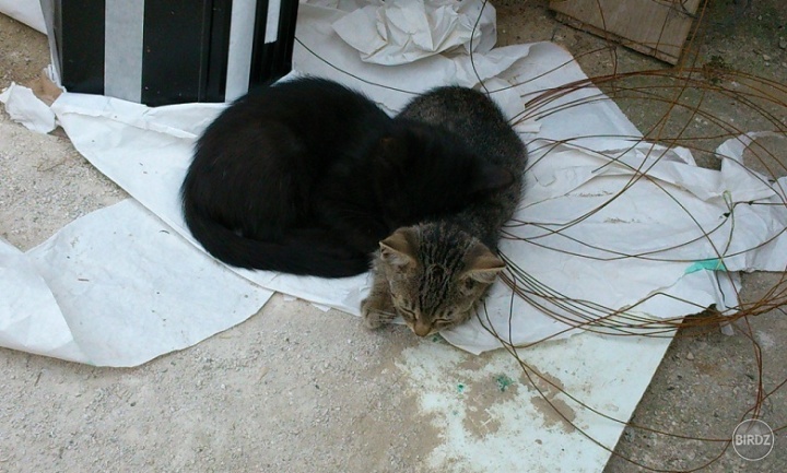 S plnymi bruskami sme si lahli anywhere :D