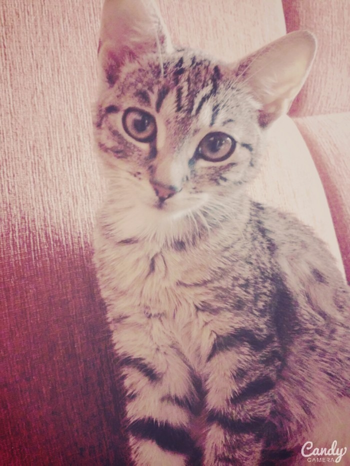Zlatičko maličké :3 :*