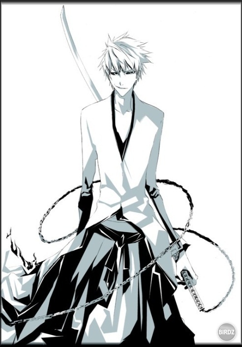 HollowIchigo