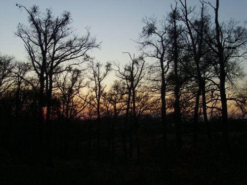 Nightfall