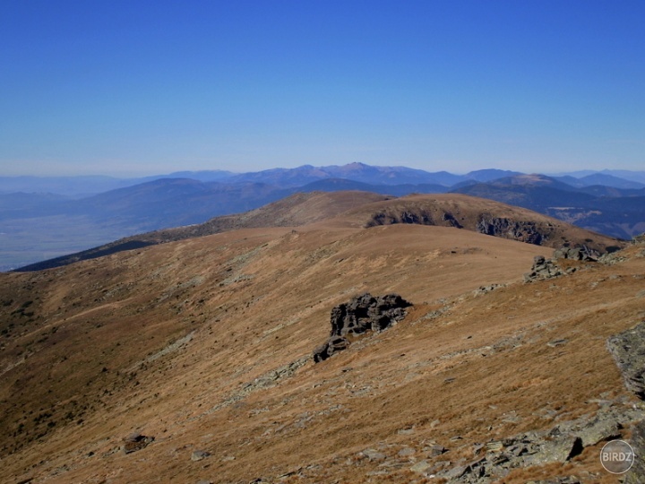 Nzke Tatry