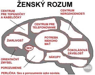 zensky rozum