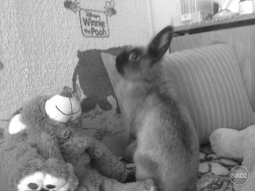 moj zajaciik:D