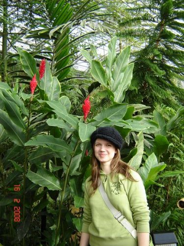 Botanicka jardin