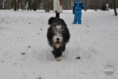 Obrázok