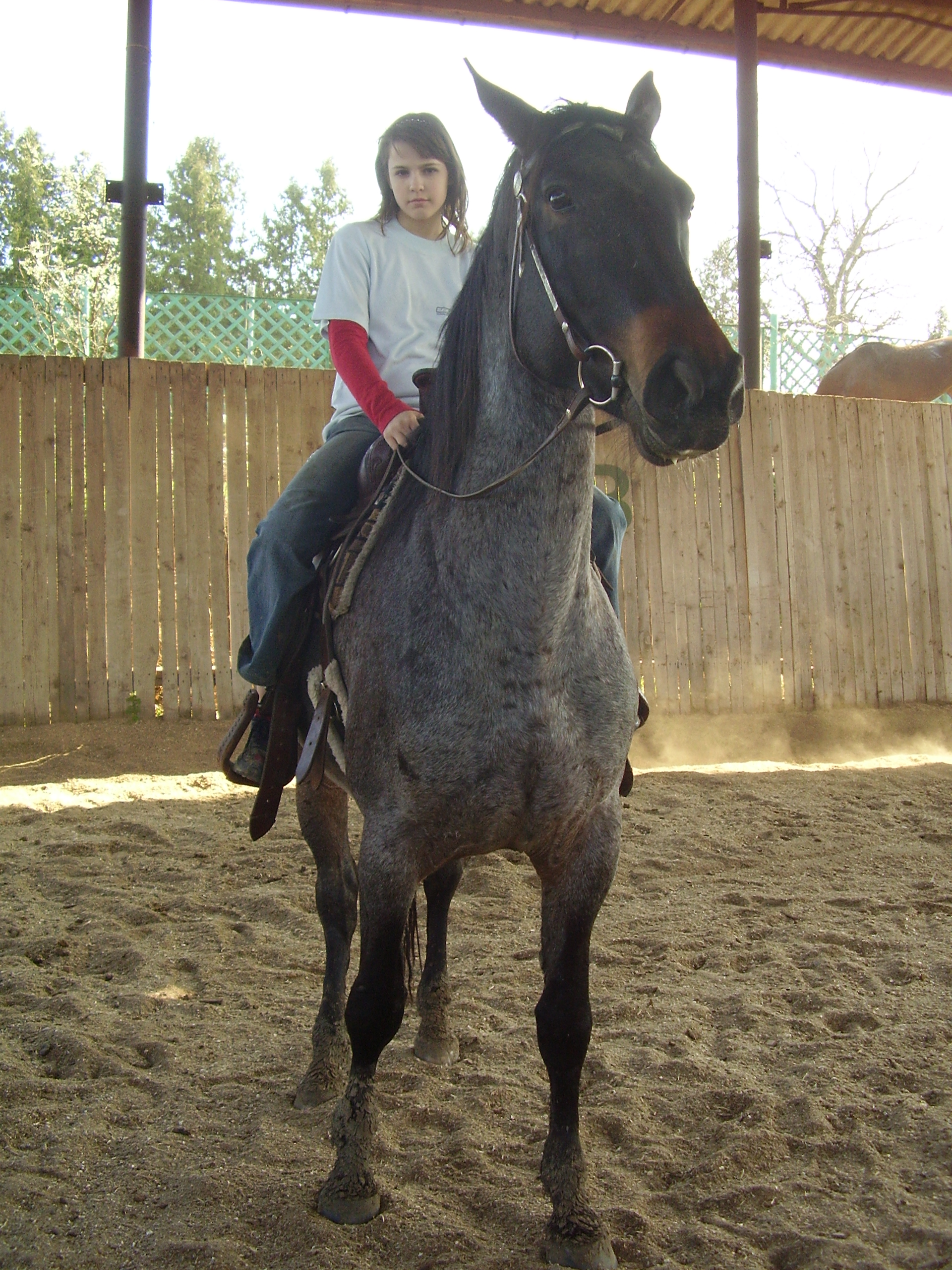 Obrázok