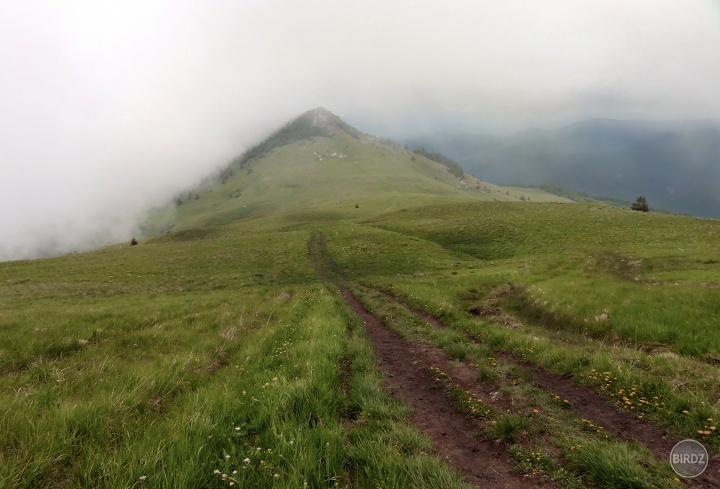v sedle Ploskej - velka fatra