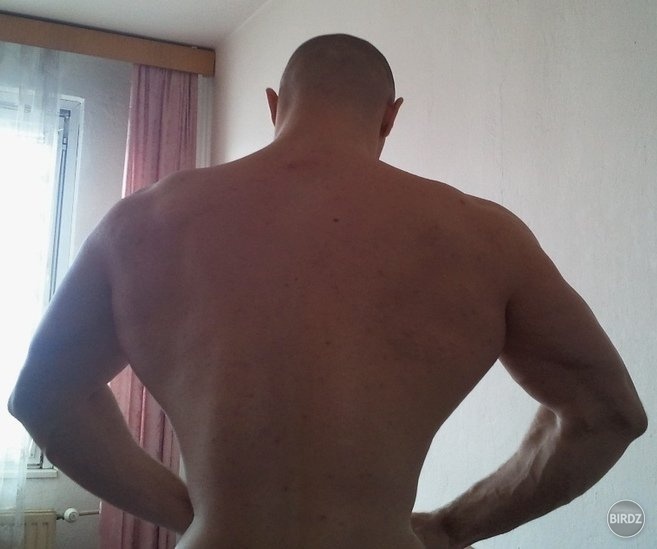 Obrázok