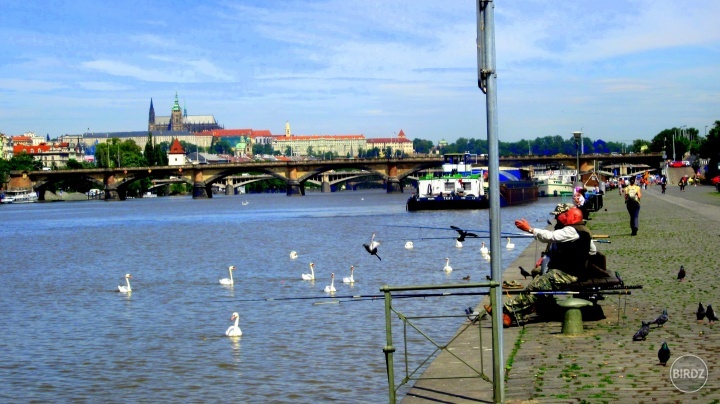 Vltava