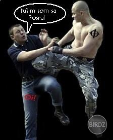 Obrázok
