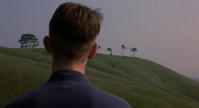 1984 (1984)