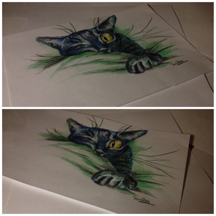 Nová kresbička :) Samozrejme že mač! :D http://renkaartandlife.blogspot.sk/