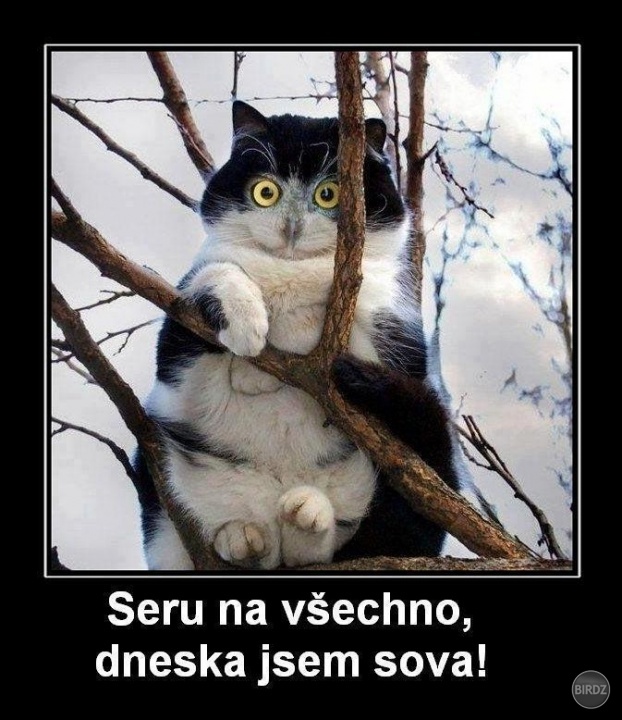 Obrázok
