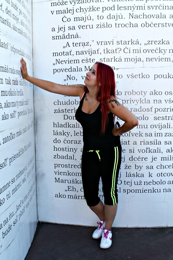 Obrázok